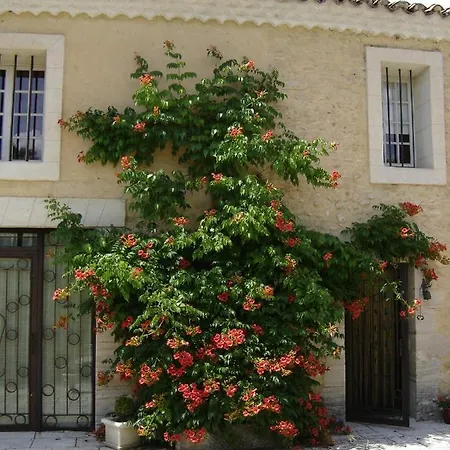 Mas Solige Carpentras